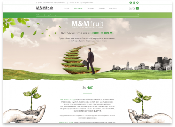 M&M Fruit